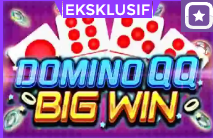 Donino qq big win